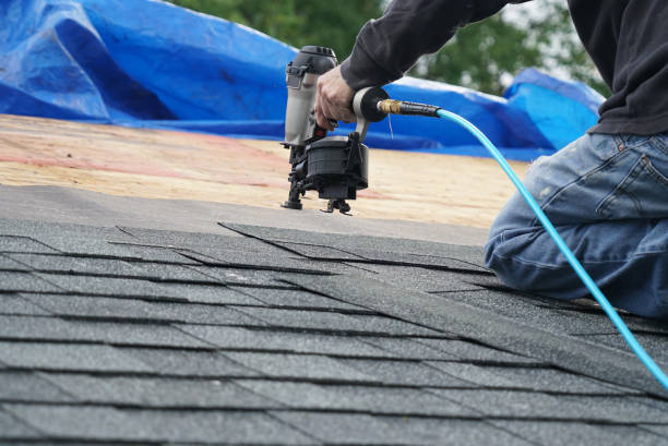 Roof Gutter Cleaning in Mount Pleasant, NC